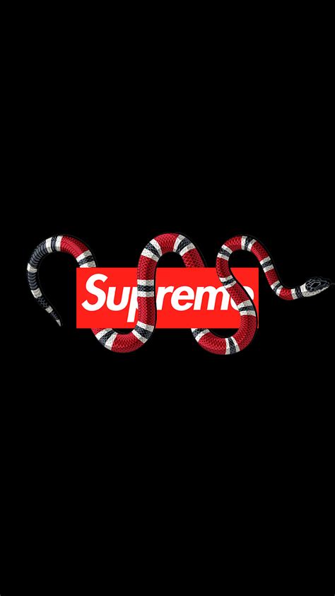 gucci supreme wallpaper|Gucci wallpaper transparent.